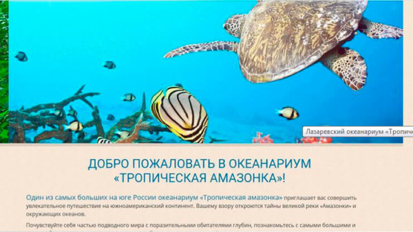 Визитки односторонние Визитки односторонние