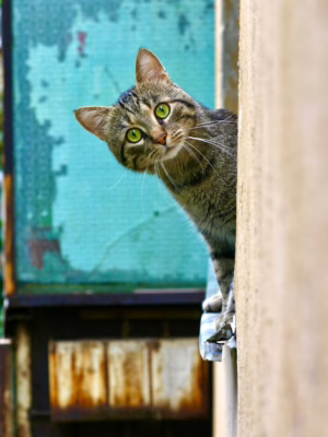 Поиск в труднодоступных местах Поиск в труднодоступных местах